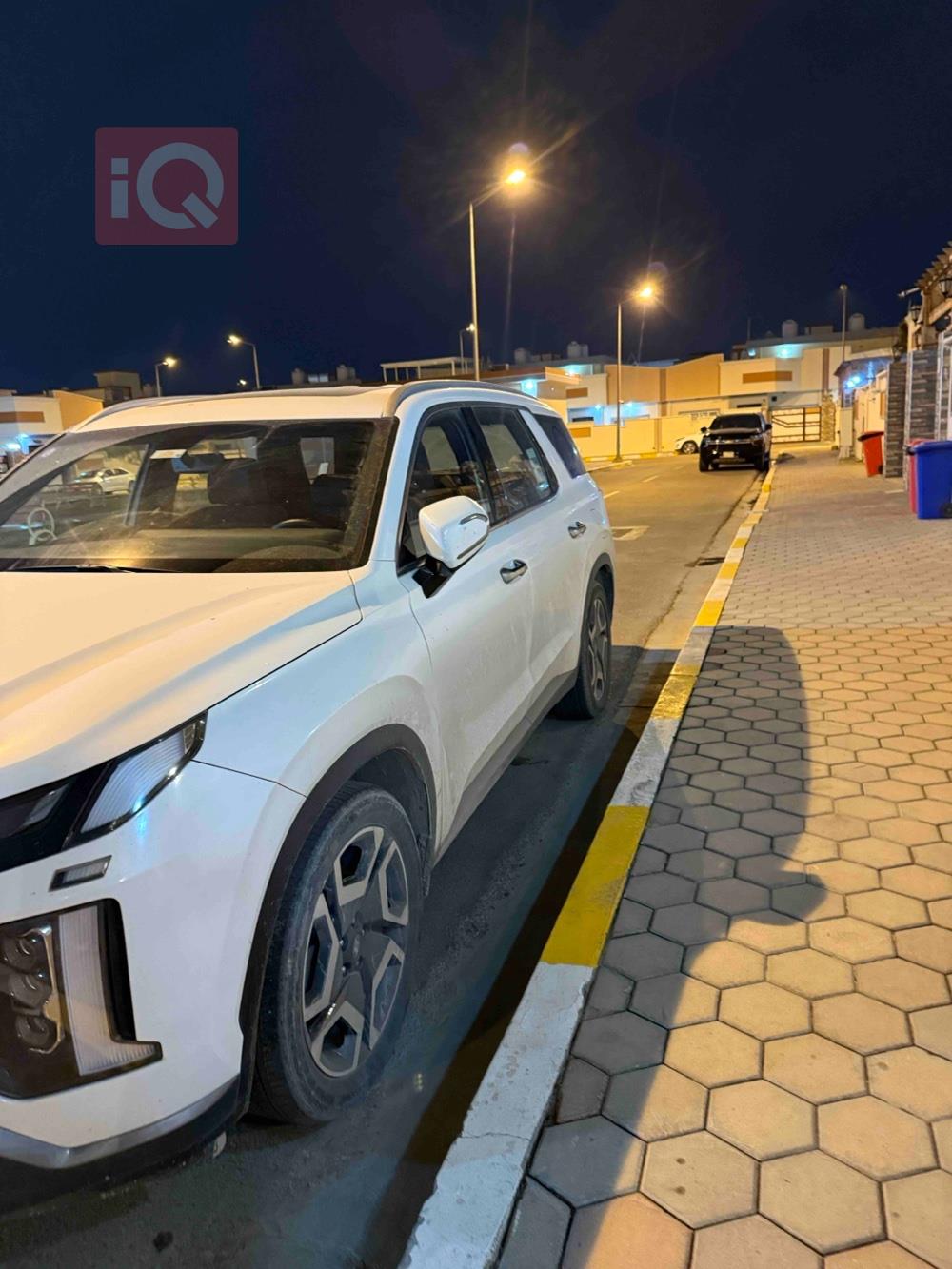 هیوندای پالیسەید
